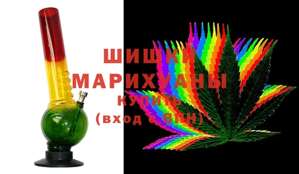 молекула духа Бронницы