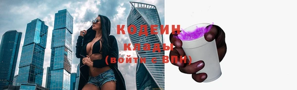молекула духа Бронницы