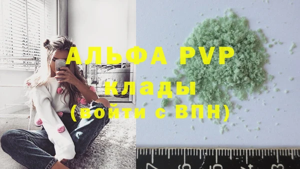 молекула духа Бронницы