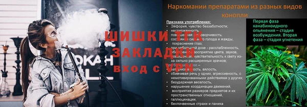 молекула духа Бронницы