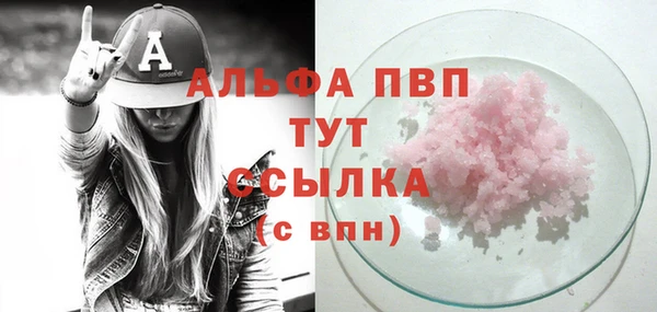 молекула духа Бронницы